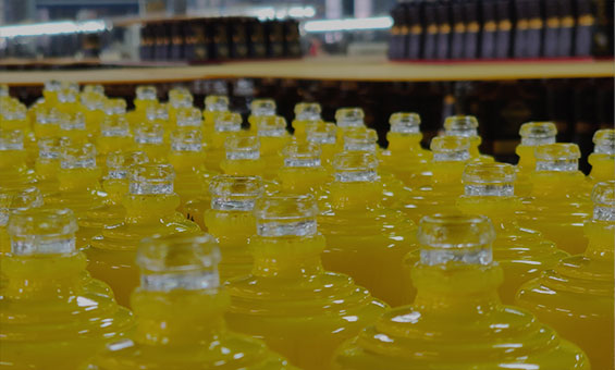 Green initiative nella produzione di bottiglie di liquore