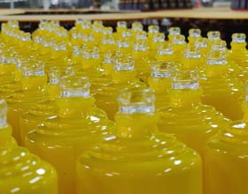 Green initiative nella produzione di bottiglie di liquore