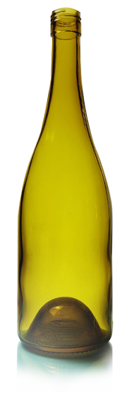 Bottiglie di vetro di vino